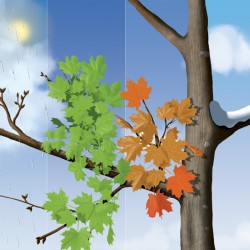 2011 Saugeen Shores Calendar